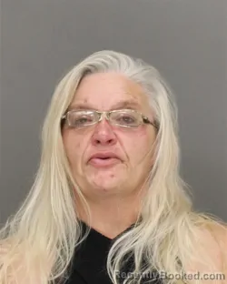 Mugshot of Holly Ann Ferron booked in Brown County, Wisconsin on August 27, 2026