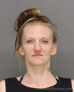 Mugshot of Amanda Marie Hernandez booked in Brown County, Wisconsin on August 28, 2026