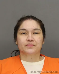 Mugshot of Shyla Little Rose Vele booked in Brown County, Wisconsin on August 28, 2026