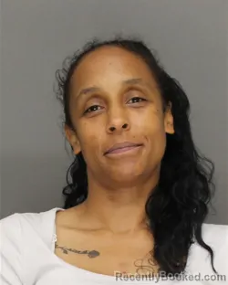 Mugshot of Crystal Amber Mcintyre booked in Brown County, Wisconsin on August 29, 2026
