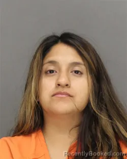 Mugshot of Jasmine Nmi Arroyo booked in Brown County, Wisconsin on August 30, 2026