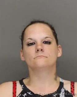 Mugshot of Tiffany Sue Hookenson booked in Brown County, Wisconsin on August 30, 2026