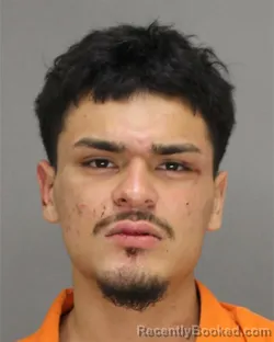 Booking photo from Brown County, Wisconsin