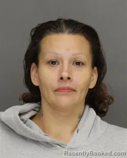 Mugshot of Natasha Nicole Halfaday booked in Brown County, Wisconsin on September 24, 2026