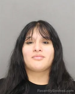 Mugshot of Adela Nmi Vasquez-Silas booked in Brown County, Wisconsin on September 25, 2026
