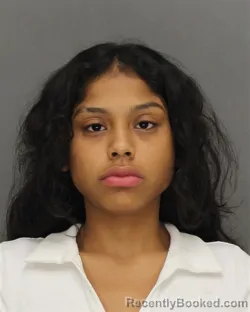 Booking photo from Brown County, Wisconsin