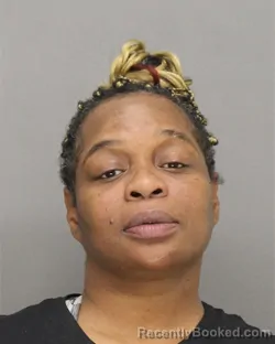 Mugshot of Anita Sheree Ellis booked in Brown County, Wisconsin on October 4, 2026