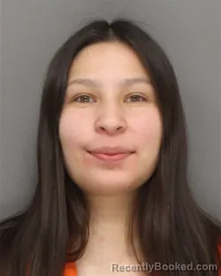 Mugshot of Aquinnah Joelyn June Fish booked in Brown County, Wisconsin on October 9, 2026