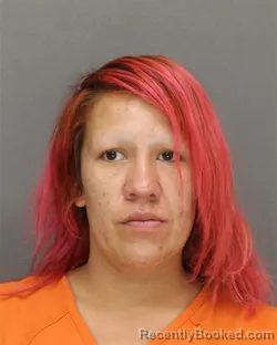 Mugshot of Alexandra Rose Larock booked in Brown County, Wisconsin on October 10, 2026