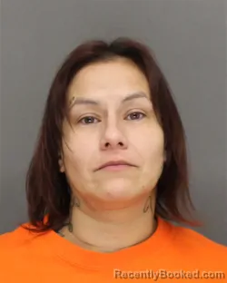 Mugshot of Tara Lynn Hucek booked in Brown County, Wisconsin on October 16, 2026