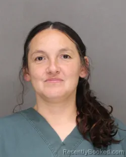 Mugshot of Tonya Marie Xiong booked in Brown County, Wisconsin on October 16, 2026