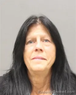 Mugshot of Lisa Ann Peterson booked in Brown County, Wisconsin on October 20, 2026