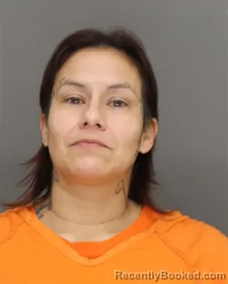 Mugshot of Tara Lynn Hucek booked in Brown County, Wisconsin on October 23, 2026