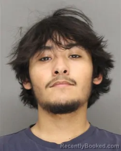 Mugshot of Yamil Nmi Rodriguez booked in Brown County, Wisconsin on October 24, 2026