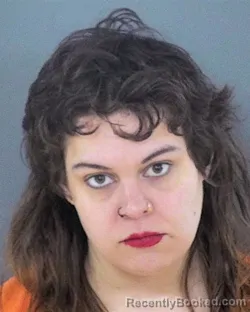 Booking photo from Chippewa County, Wisconsin