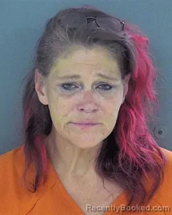 Mugshot of TAMARA LYNN CARMAN booked in Chippewa County, Wisconsin on July 29, 2026