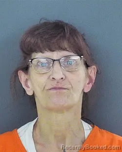 Mugshot of PAMELA JO ANDERSON booked in Chippewa County, Wisconsin on April 23, 2026