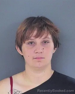Mugshot of Dulcie Jean Smith booked in Chippewa County, Wisconsin on September 5, 2026