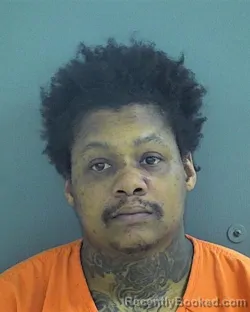 Mugshot of SHAQUILLE KANDELL-LAFRANK LANE