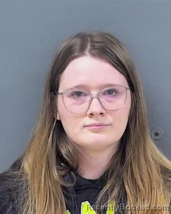 Mugshot of DESSIRAE APRIL STELZER