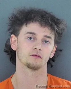 Mugshot of BAILEY JACOB WILLHAUCK
