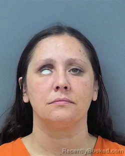 Mugshot of MEGHAN CHRISTINE LANE