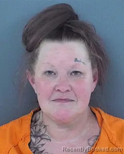 Mugshot of SYLVIA MARIE ERICKSON booked in Chippewa County, Wisconsin on July 4, 2026