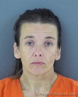 Mugshot of Sarah Jean Johnson booked in Chippewa County, Wisconsin on September 15, 2026