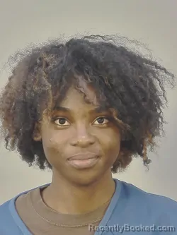 Mugshot of JA MIRRAH A WILLIS