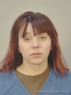 Booking photo from Dane County, Wisconsin