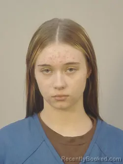 Booking photo from Dane County, Wisconsin