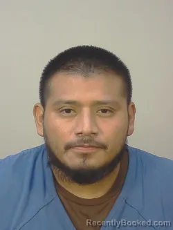 Mugshot of RICKY MARTIN BOLANOS LERDO