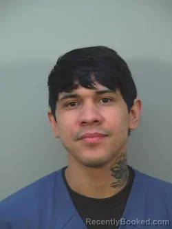 Mugshot of MARCO ANTONIO CASTILLO