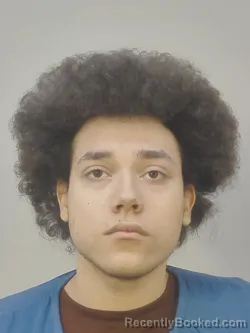 Mugshot of GAVIN MICHAEL SCHULZ