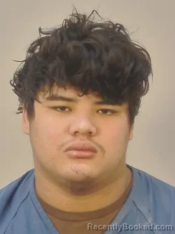 Mugshot of MAYNOR ASAHELA MARTINEZ ARTICA