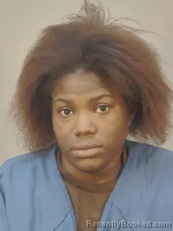 Mugshot of CLAUDIA CLEOTRA COMER