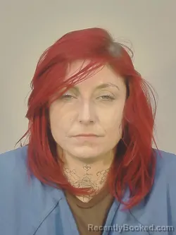 Booking photo from Dane County, Wisconsin