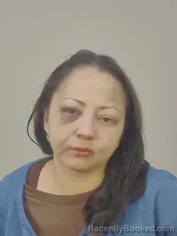 Mugshot of CAMILA GUTIERREZ