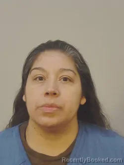 Mugshot of MARIA DEJESUS IBARRA
