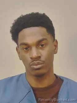 Mugshot of HENRY HARUGHTY CONKLIN