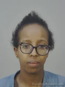 Mugshot of BALKIS BASHIR AHMED