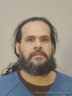 Mugshot of HECTOR ALBERTO NAVA