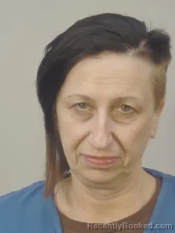 Mugshot of HEIDI LYNN YLVISAKER booked in Dane County, Wisconsin on March 17, 2026