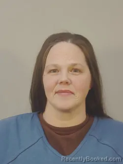 Mugshot of ERIN NICOLE COLVIN