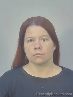 Mugshot of LONI MAE ELLSWORTH booked in Dane County, Wisconsin on March 20, 2026