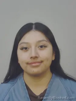 Mugshot of ANGELA REBECCA HERNANDEZ booked in Dane County, Wisconsin on March 20, 2026