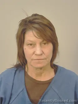 Mugshot of TONI ELIZABETH HOHENSTEIN booked in Dane County, Wisconsin on March 23, 2026