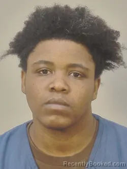 Mugshot of DIAMOND SIMONE WALLACE booked in Dane County, Wisconsin on March 23, 2026