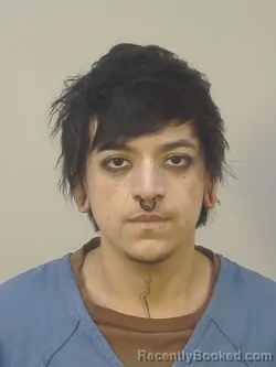 Mugshot of ALIXANDER GREY RUIZ booked in Dane County, Wisconsin on March 27, 2026