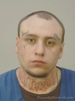 Mugshot of ORLANDO MICHAEL PLEADWELL booked in Dane County, Wisconsin on March 27, 2026